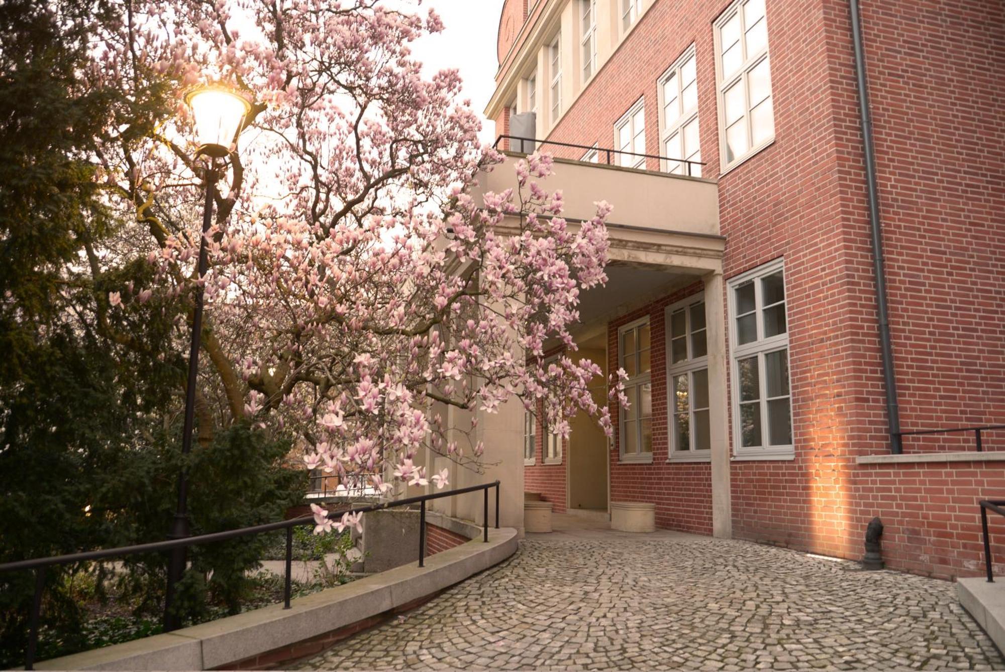Apartment In Historic Heart Of *